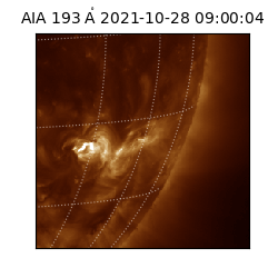 saia - 2021-10-28T09:00:04.843000