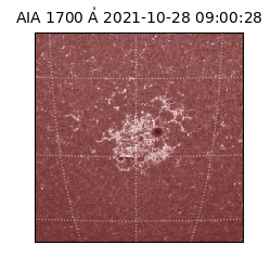 saia - 2021-10-28T09:00:28.718000