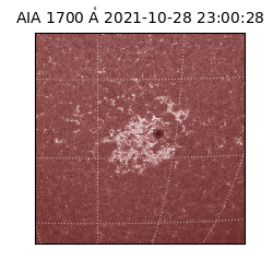 saia - 2021-10-28T23:00:28.718000