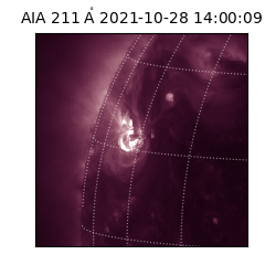 saia - 2021-10-28T14:00:09.626000