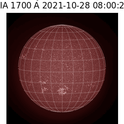 saia - 2021-10-28T08:00:00