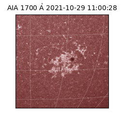 saia - 2021-10-29T11:00:28.721000