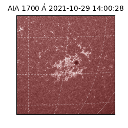 saia - 2021-10-29T14:00:28.717000