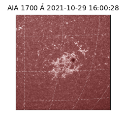 saia - 2021-10-29T16:00:28.717000