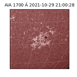 saia - 2021-10-29T21:00:28.711000