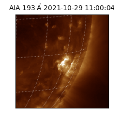 saia - 2021-10-29T11:00:04.845000