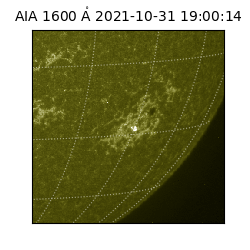 saia - 2021-10-31T19:00:14.126000