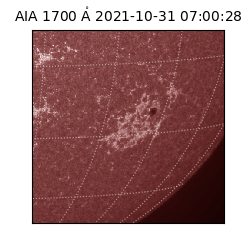 saia - 2021-10-31T07:00:28.717000