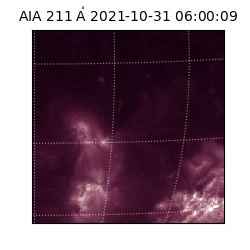 saia - 2021-10-31T06:00:09.626000