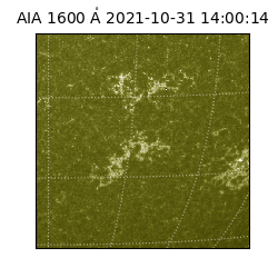 saia - 2021-10-31T14:00:14.131000