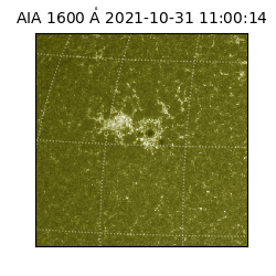 saia - 2021-10-31T11:00:14.130000