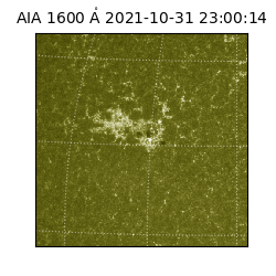 saia - 2021-10-31T23:00:14.132000