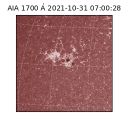 saia - 2021-10-31T07:00:28.717000