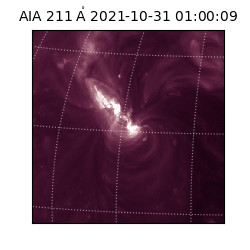saia - 2021-10-31T01:00:09.630000