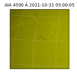 saia - 2021-10-31T05:00:05.685000