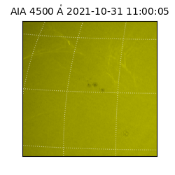 saia - 2021-10-31T11:00:05.685000