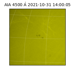 saia - 2021-10-31T14:00:05.685000