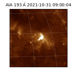 saia - 2021-10-31T09:00:04.843000