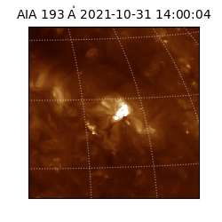 saia - 2021-10-31T14:00:04.843000