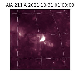 saia - 2021-10-31T01:00:09.630000