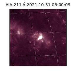 saia - 2021-10-31T06:00:09.626000