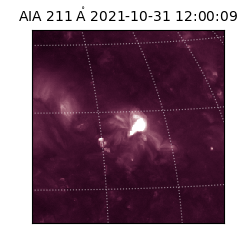 saia - 2021-10-31T12:00:09.626000