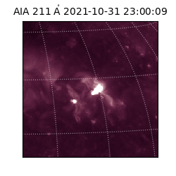 saia - 2021-10-31T23:00:09.633000