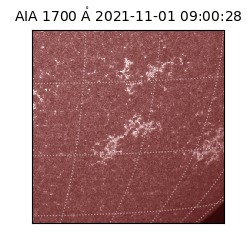 saia - 2021-11-01T09:00:28.717000