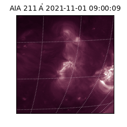 saia - 2021-11-01T09:00:09.626000