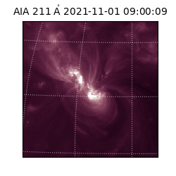 saia - 2021-11-01T09:00:09.626000