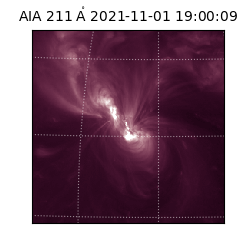 saia - 2021-11-01T19:00:09.630000