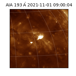 saia - 2021-11-01T09:00:04.844000