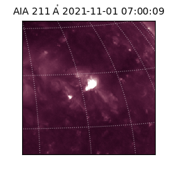 saia - 2021-11-01T07:00:09.626000