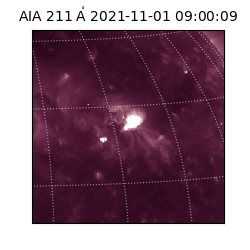 saia - 2021-11-01T09:00:09.626000