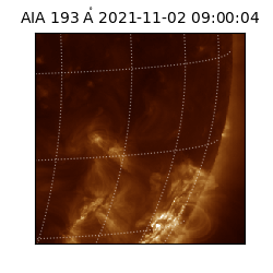 saia - 2021-11-02T09:00:04.843000