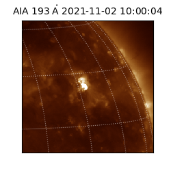 saia - 2021-11-02T10:00:04.843000