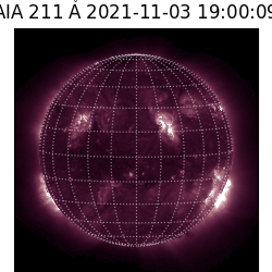 saia - 2021-11-03T19:00:00