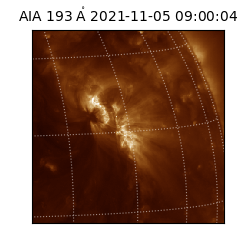 saia - 2021-11-05T09:00:04.843000