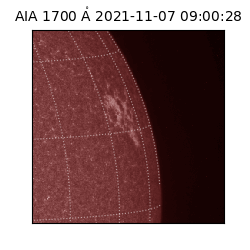 saia - 2021-11-07T09:00:28.742000