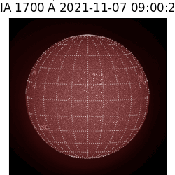 saia - 2021-11-07T09:00:00