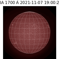 saia - 2021-11-07T19:00:00