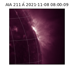 saia - 2021-11-08T08:00:09.618000