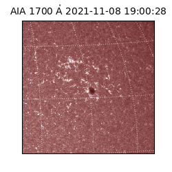 saia - 2021-11-08T19:00:28.718000