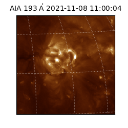 saia - 2021-11-08T11:00:04.843000