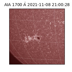 saia - 2021-11-08T21:00:28.718000