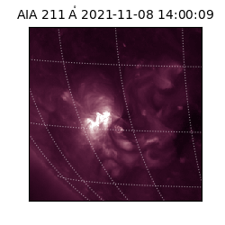 saia - 2021-11-08T14:00:09.626000