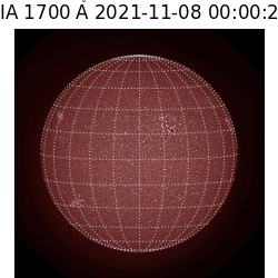 saia - 2021-11-08T00:00:00