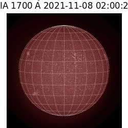 saia - 2021-11-08T02:00:00