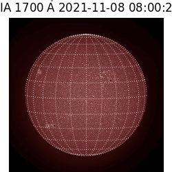 saia - 2021-11-08T08:00:00