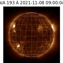 saia - 2021-11-08T09:00:00